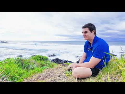 The Daily Reflection Practice That Changed My Life | Strengths & Values Alignment